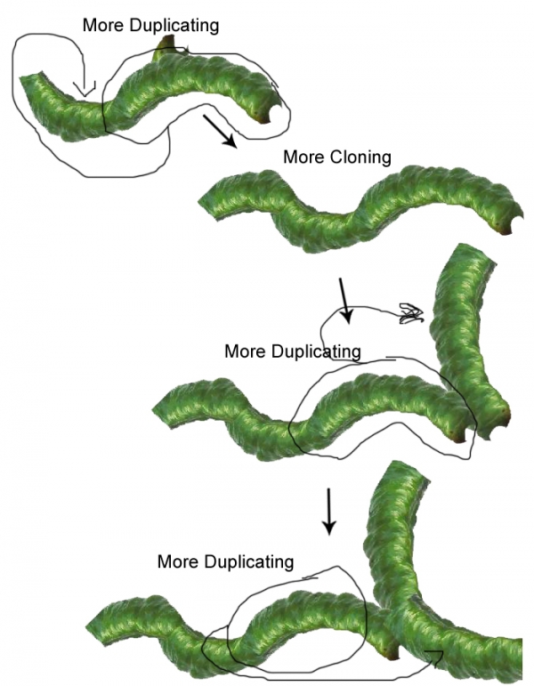 Creation of Life Fruit: Step 2